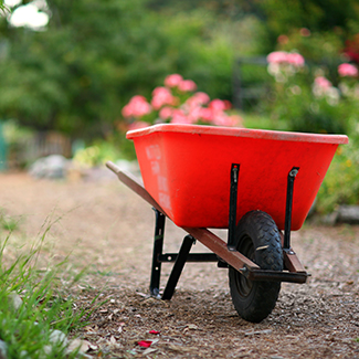 Cleanly Cut Lawn Cleanup